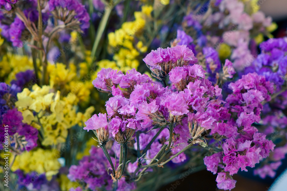 Obraz premium Fresh flowers still life - Stock Image