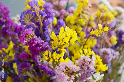 Fresh flowers still life - Stock Image