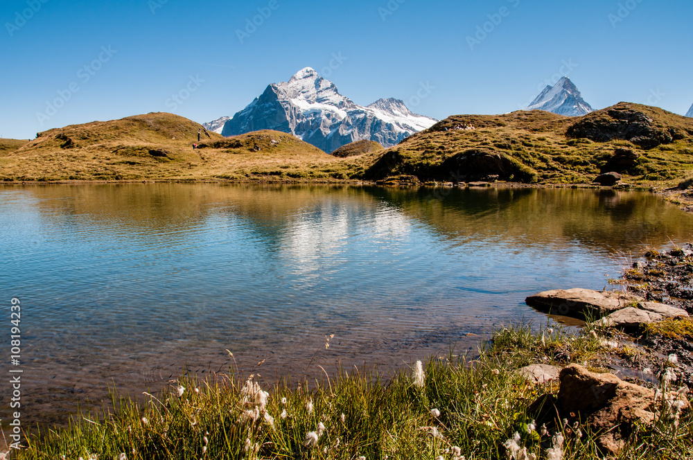 swiss alps reflekting in a lake