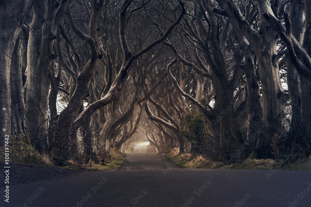 Fototapeta premium Pochmurny dzień