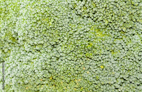 Background of fresh green broccoli Texture