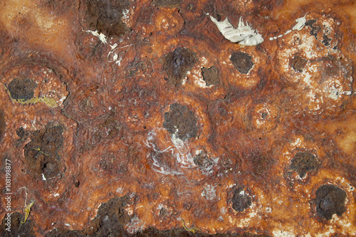 rusted metal background 