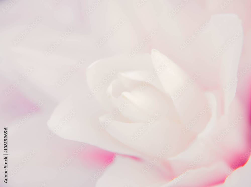 abstract nature flower background abstract nature flower background