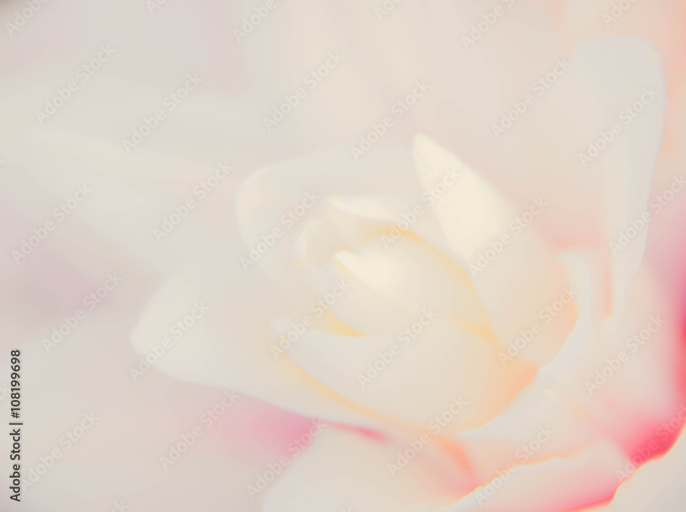 abstract nature flower background