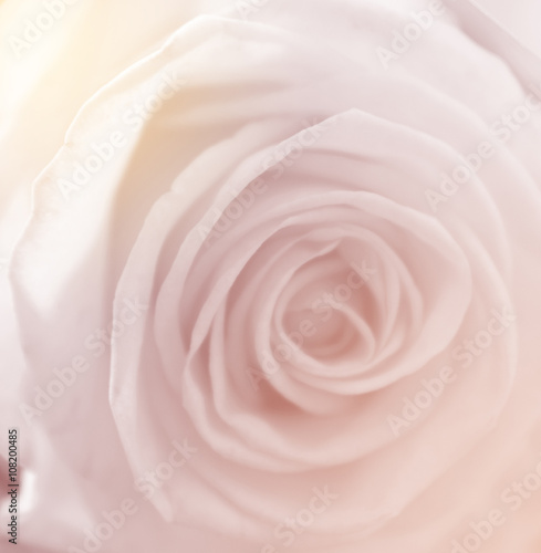 abstract nature flower background, color filter © slonme