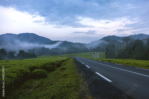 Into the dark. The sun goes down and seems spectacular between the very clean roads into rainforests, fogs and fields. 