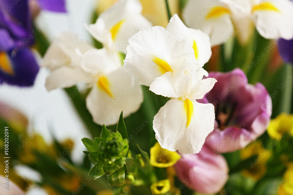 A bouquet of fresh flowers, close up