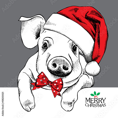 The christmas poster with the image pig portrait in Santa's hat and with bow. Vector illustration.