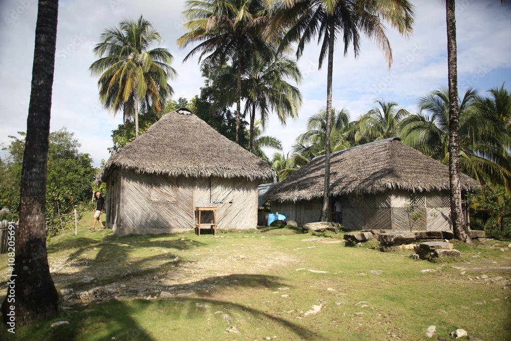 Cuba paysage