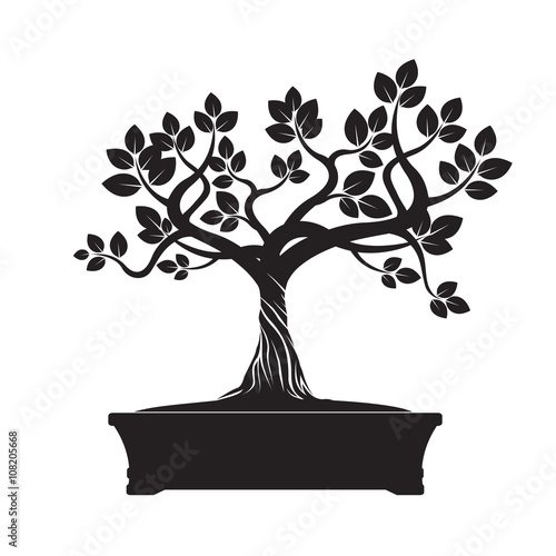 Green Vector Olive Tree. Illustration of Bonsai.