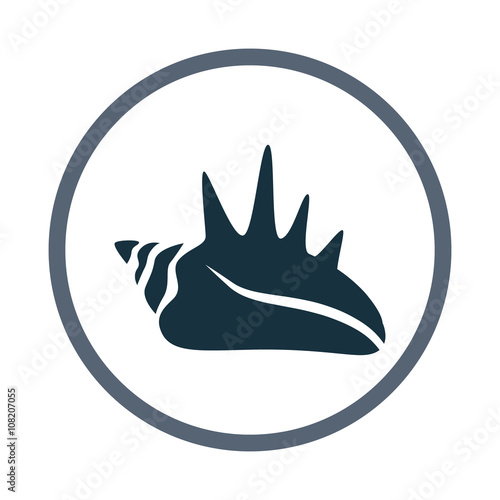 Sea shell icon