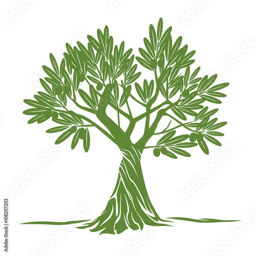 Vector Color Olive Tree.