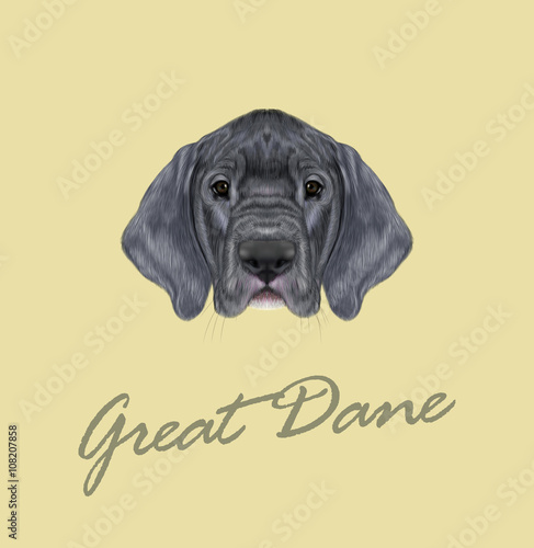 Vector Illustrated portrait of German Great Dane puppy.