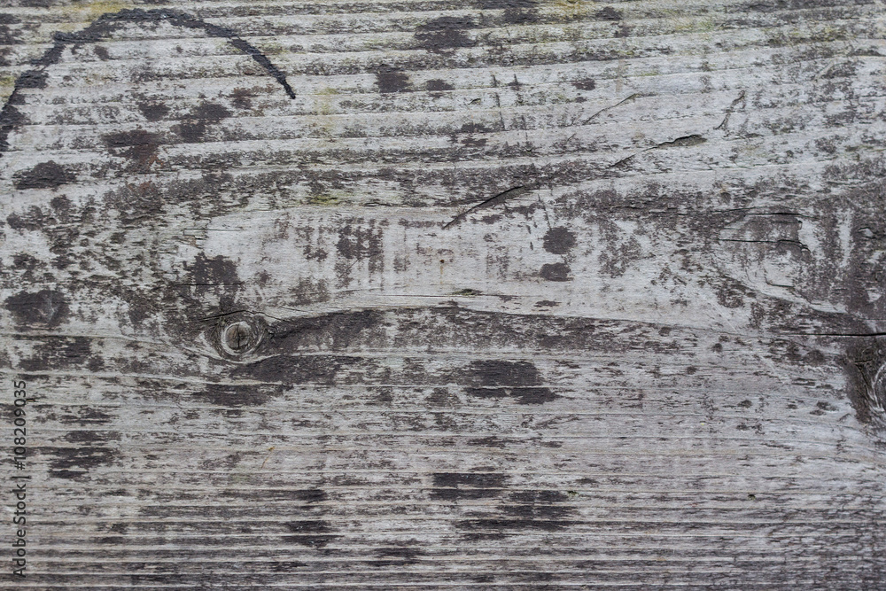 Obraz premium wood texture grey