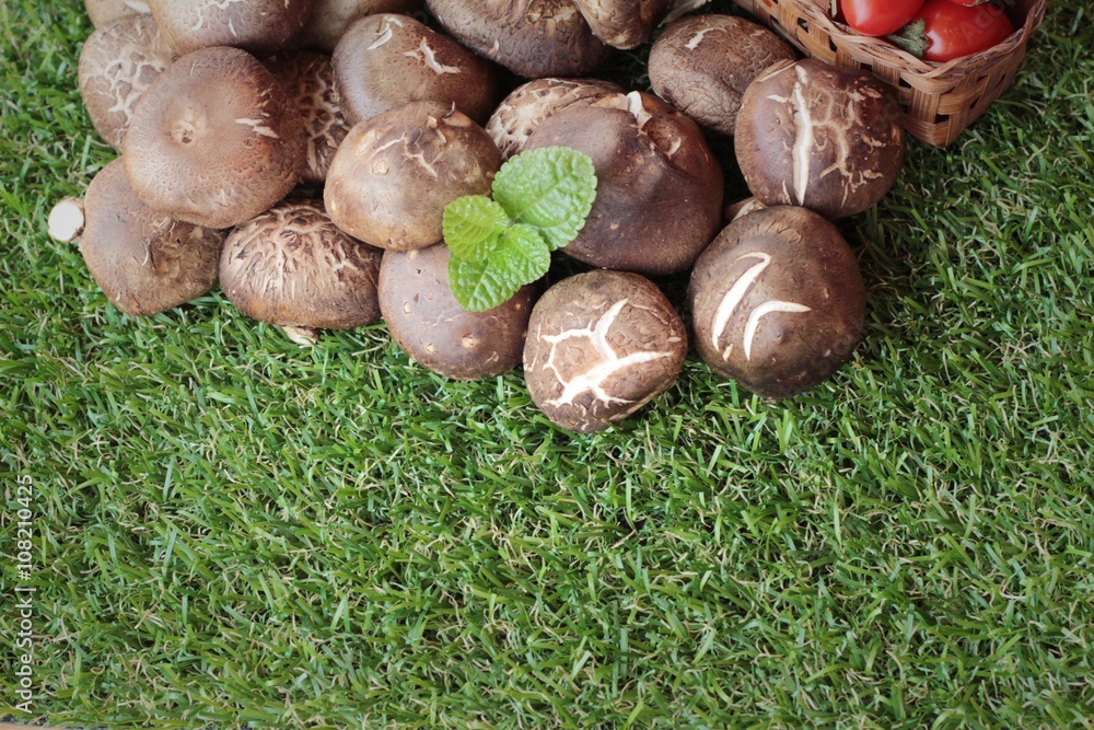 Mushrooms and vegetables for cooking. Mushrooms and vegetables for cooking.