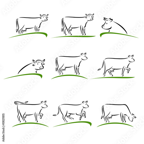 Cow set. Vector