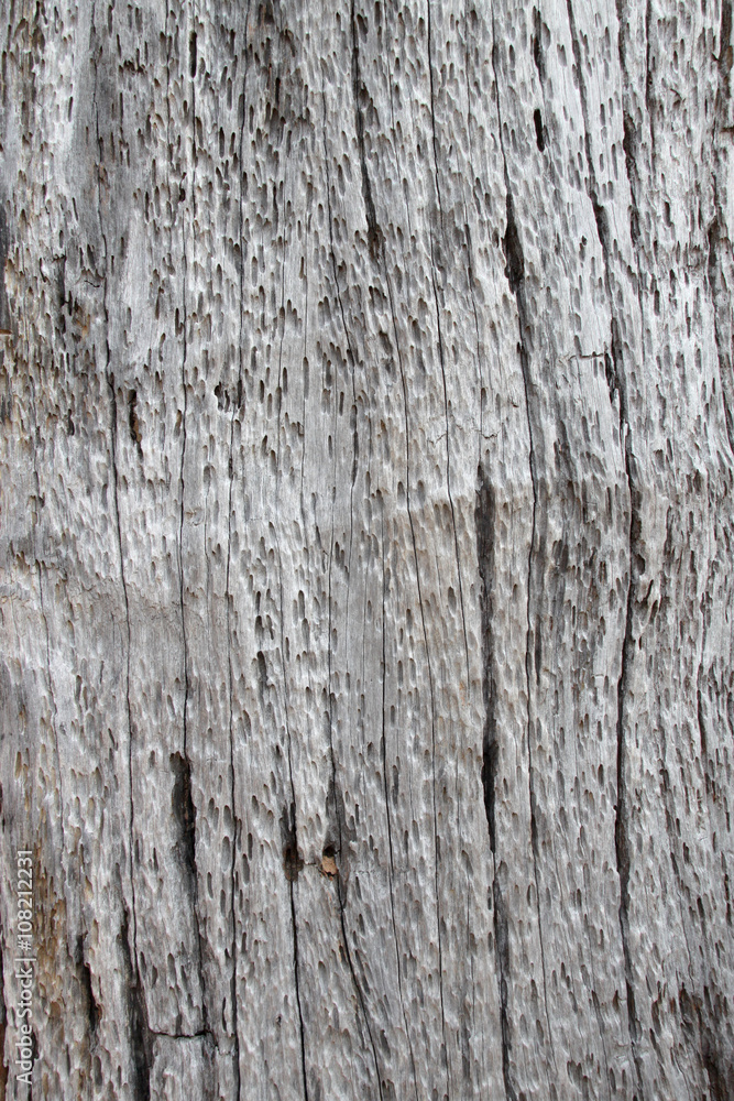 wood background