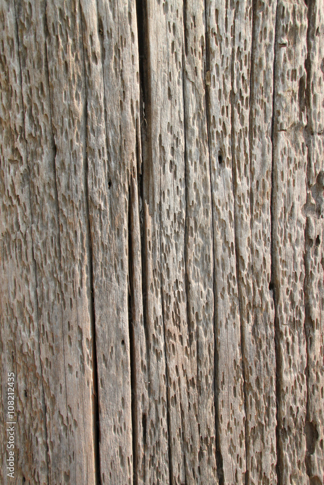 wood background wood background