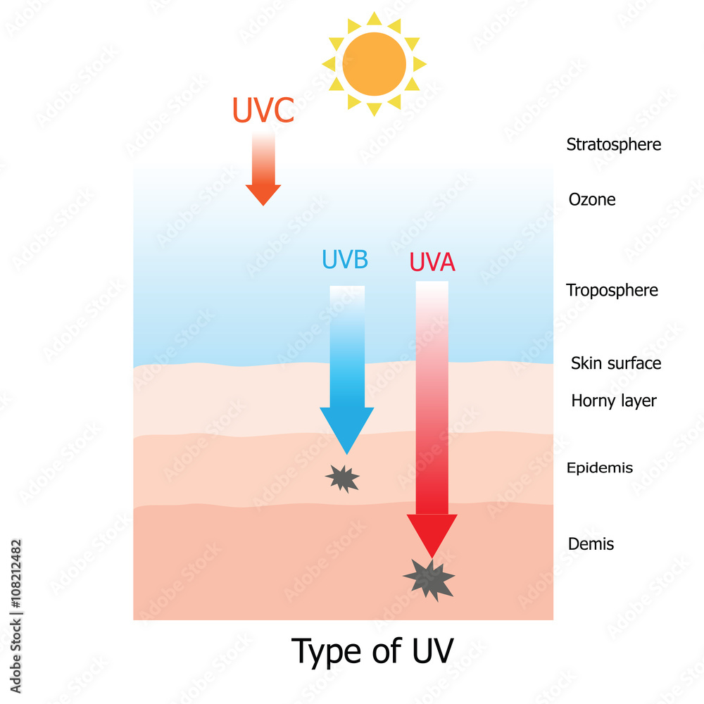 Type of UV , UVA,UVB,UVC that which one damage human skin Stock Vector |  Adobe Stock