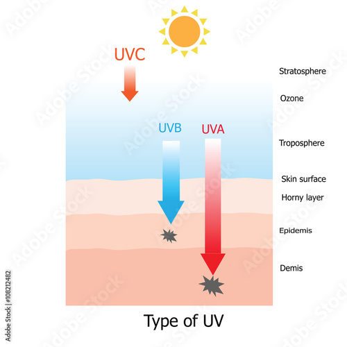 Type of UV , UVA,UVB,UVC that which one  damage human skin © PeoGeo