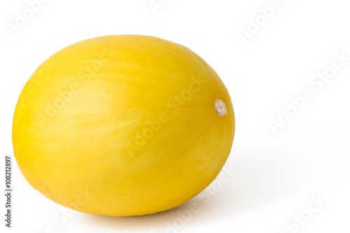 single cantaloupe melon