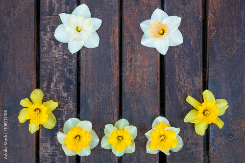 Narcissus of shape smile on the wooden background. yellow flowers on the dark wooden background. Place for text.
