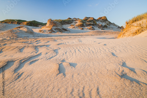 Dünenlandschaft in Dänemark im Abendlicht