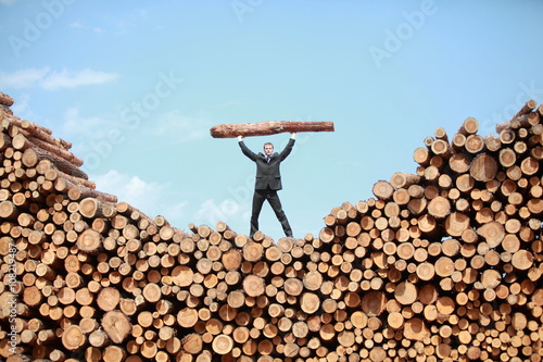 Hardworking Business Man on top of large pile of logs   lifting  heavy log - front view photo