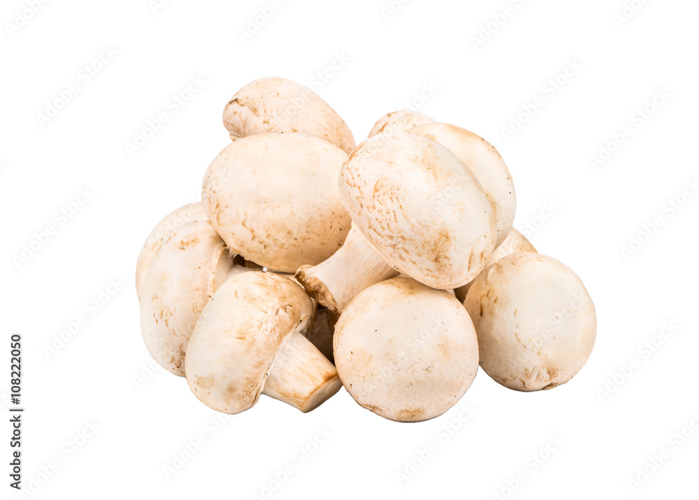 Raw mushroom champignon Raw mushroom champignon