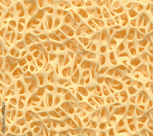 Bone spongy structure close-up, healthy texture of bone photo