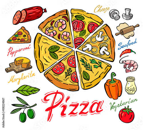 vector color pizza
