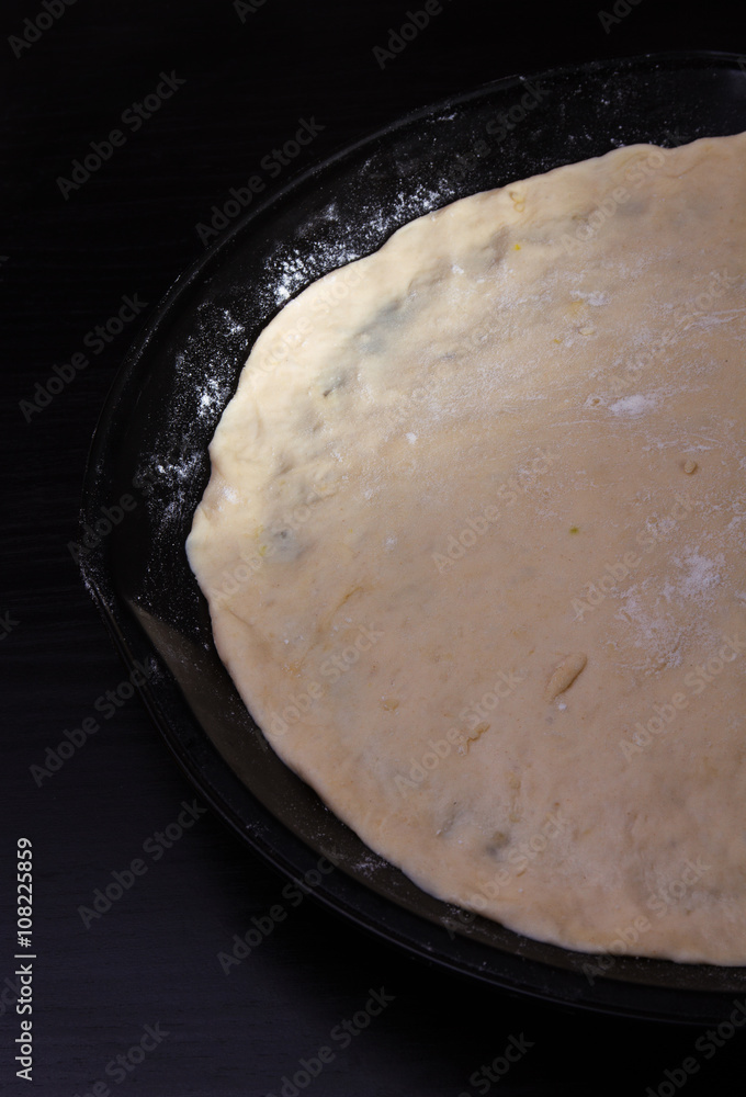 dough for pizza in the pan dough for pizza in the pan