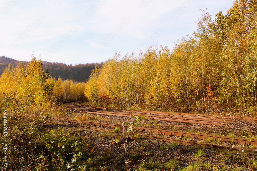 железная дорога в осеннем лесу