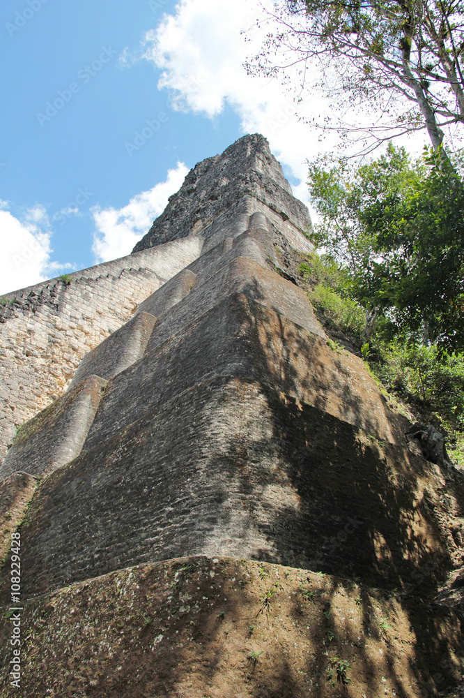 Tikal, Guatemala: Temple V, one of the major pyramids (57 metres)