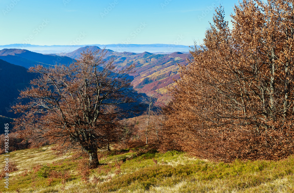 Fototapeta premium Autumn Carpathian view.