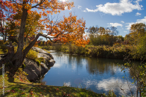 Autumn trees , red rocks and Chikanishing Creek in Killarney Provincial Park Ontario  Canada  photo