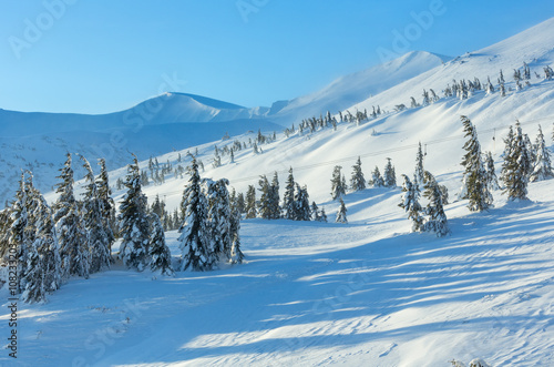 Icy snowy fir trees on winter hill. © wildman