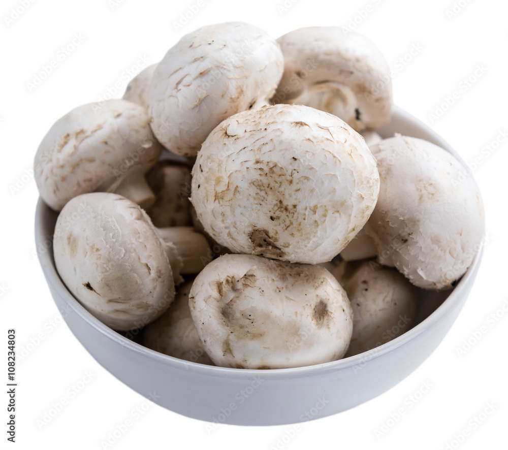 Mushrooms isolated on white Mushrooms isolated on white