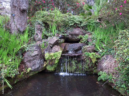 kleiner Wasserfall am Gartenteich