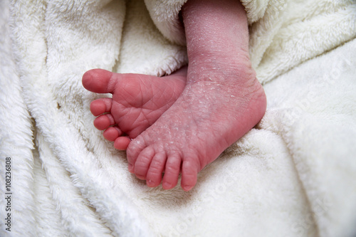 Süße Babyfüße eines zwei Wochen alten Neugeborenen