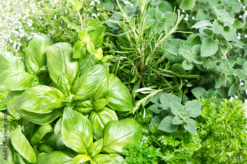 Closeup fresh herbs. Parsley basil rosemary thyme mint