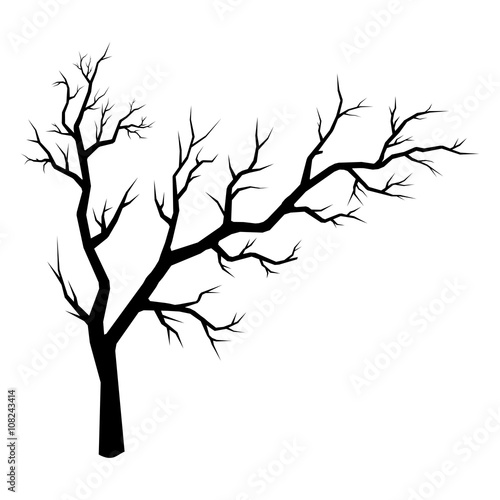 Vector silhouette of spreading tree isolated on white backdrop.