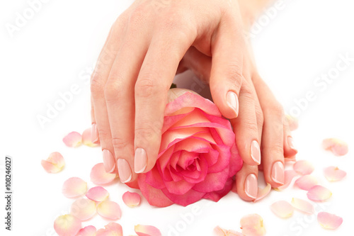 Woman hands with beautiful rose and petals on white background, close up