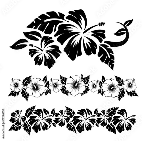hibiscus2