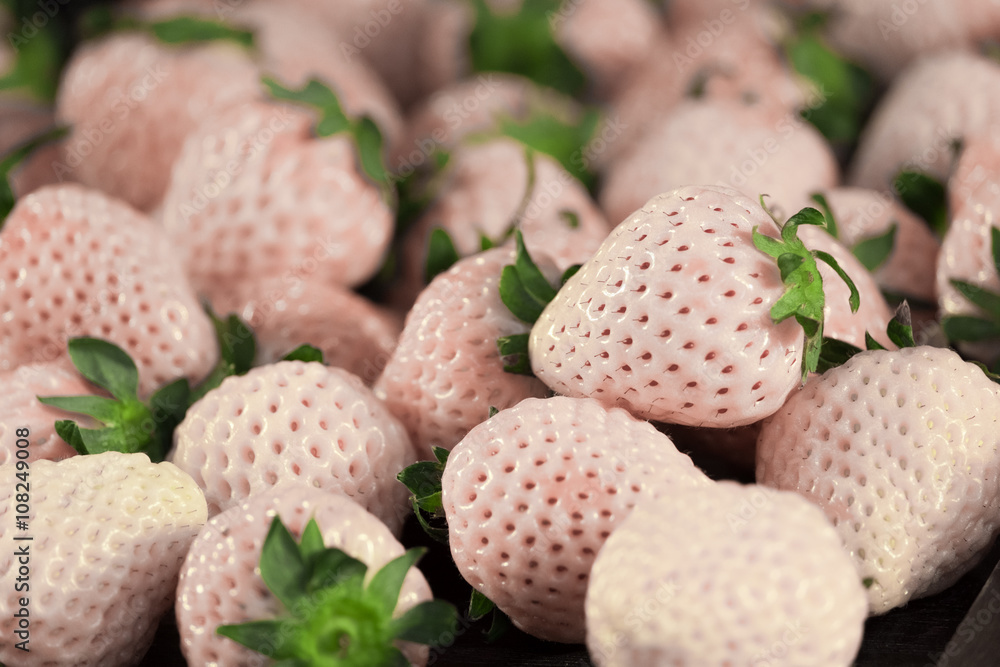 White Strawberry (Hatsukoi no kaori (name in Japanese) means the White Strawberry (Hatsukoi no kaori (name in Japanese) means the