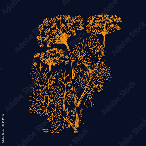 Stems of fresh dill