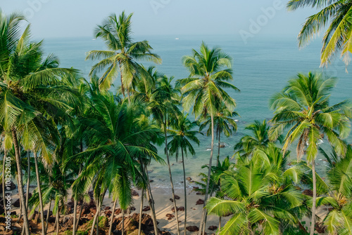 Sea view from hidden beach with palms near Agonda beach, Goa state, India