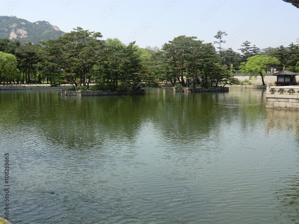 A beautiful Korean lake in Seoul with fish swimming. Trees growing on islands on the lake. Trees in the background with a mountain to the rear and a clear blue sky.