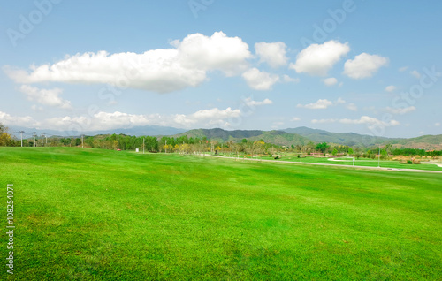 Green field with blue sky © wiiin