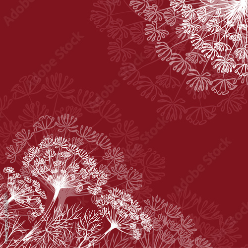 Dill on dark red background